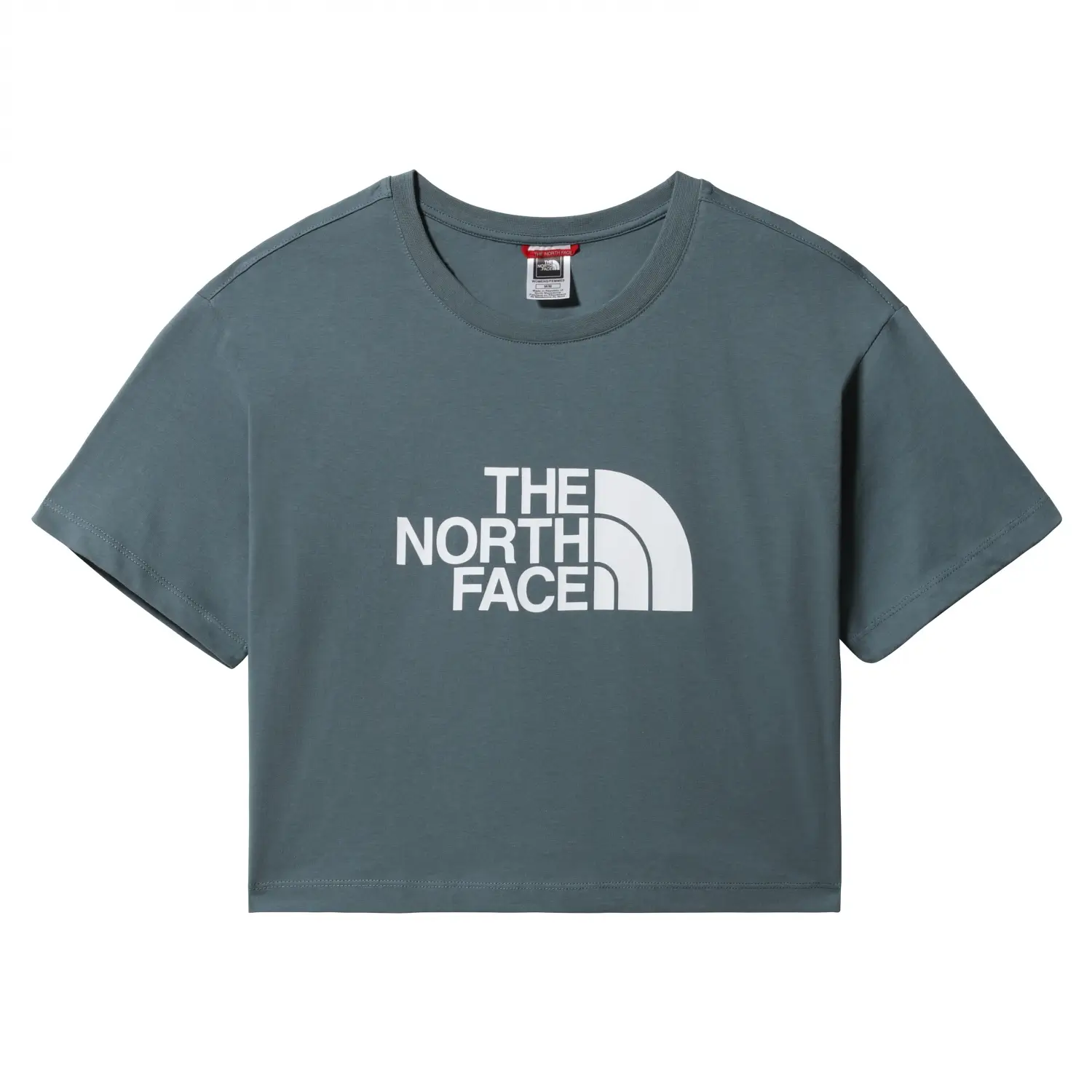 The North Face Cropped Easy Mavi Kadın Tişört-NF0A4T1RA9L1